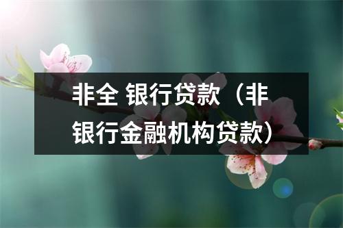 非全 银行贷款（非银行金融机构贷款）