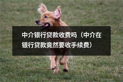 中介银行贷款收费吗（中介在银行贷款竟然要收手续费）