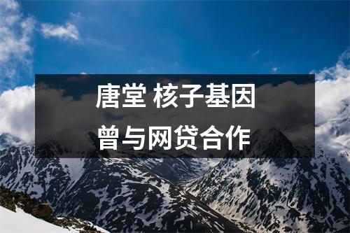 唐堂 核子基因曾与网贷合作