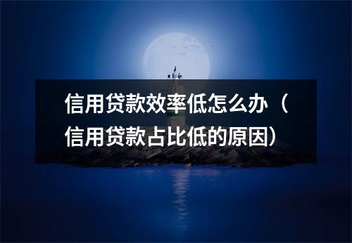 信用贷款效率低怎么办（信用贷款占比低的原因）
