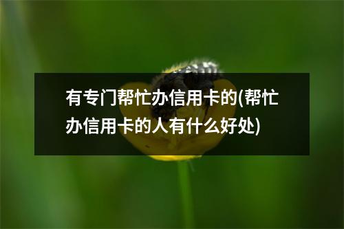 有专门帮忙办信用卡的(帮忙办信用卡的人有什么好处)