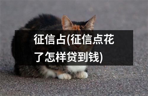 征信占(征信点花了怎样贷到钱)