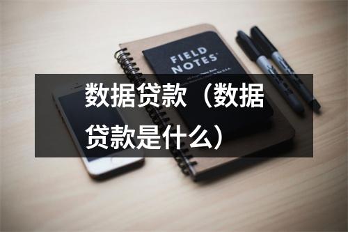 数据贷款(数据贷款是什么)