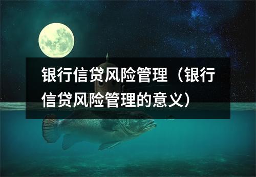 银行信贷风险管理（银行信贷风险管理的意义）