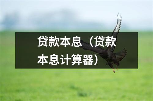 贷款本息（贷款本息计算器）