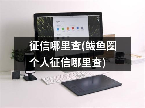 征信哪里查(鲅鱼圈个人征信哪里查)