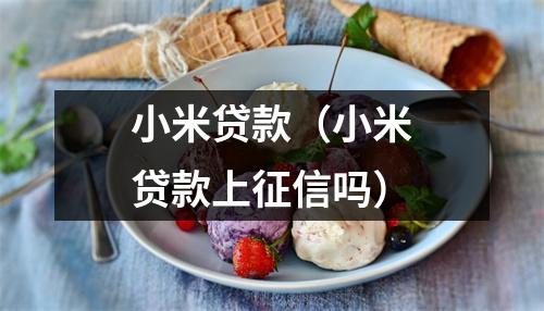 小米贷款(小米贷款上征信吗)