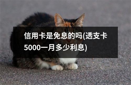 信用卡是免息的吗(透支卡5000一月多少利息)