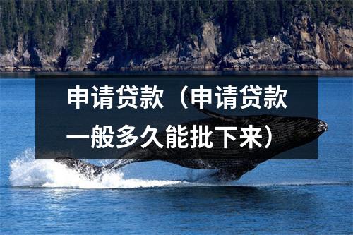 申请贷款（申请贷款一般多久能批下来）