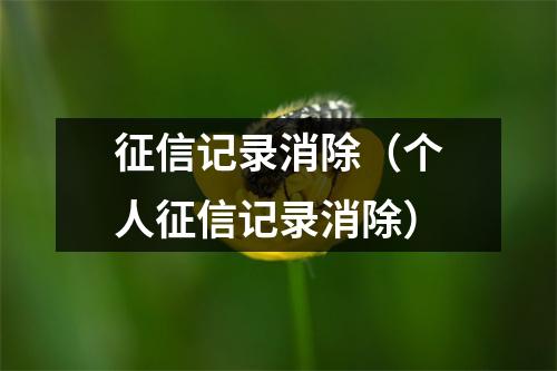 征信记录消除（个人征信记录消除）
