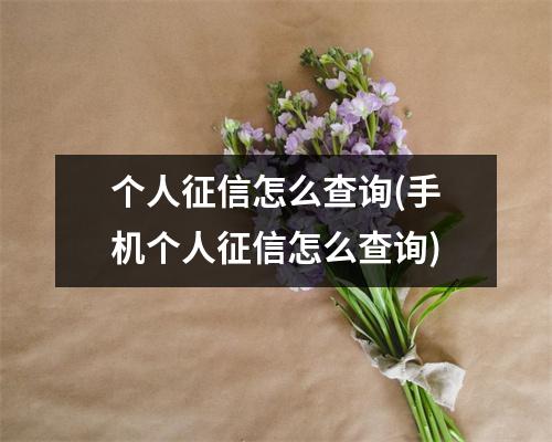个人征信怎么查询(手机个人征信怎么查询)