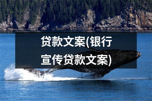 贷款文案(银行宣传贷款文案)