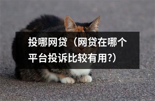投哪网贷（网贷在哪个平台投诉比较有用?）