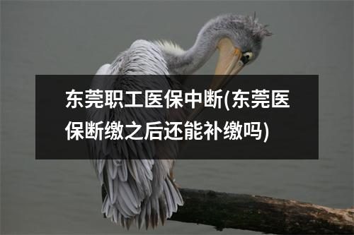 东莞职工医保中断(东莞医保断缴之后还能补缴吗)