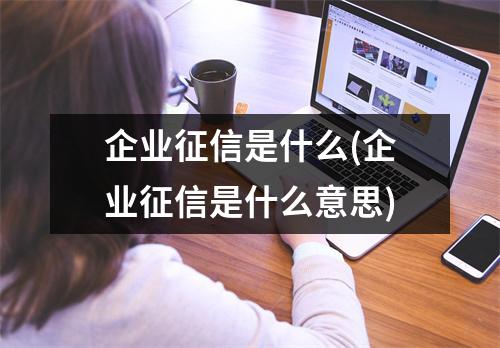 企业征信是什么(企业征信是什么意思)