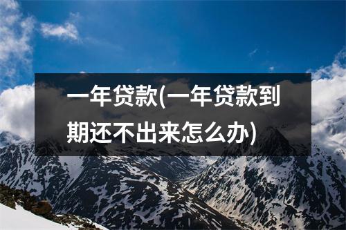 一年贷款(一年贷款到期还不出来怎么办)