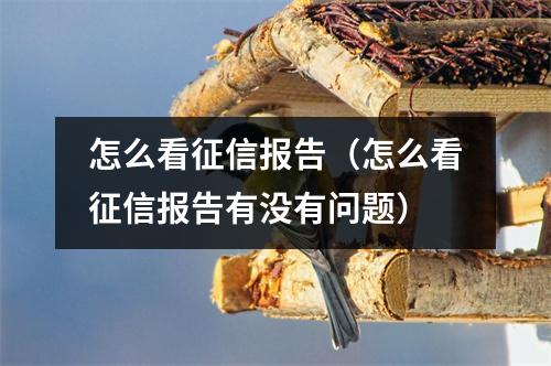 怎么看征信报告（怎么看征信报告有没有问题）