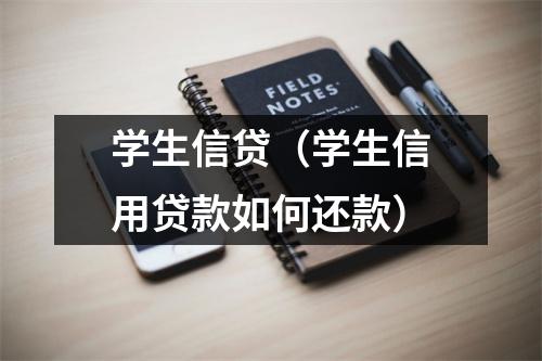 学生信贷（学生信用贷款如何还款）
