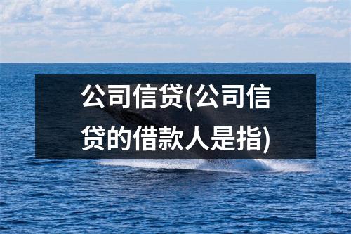 公司信贷(公司信贷的借款人是指)