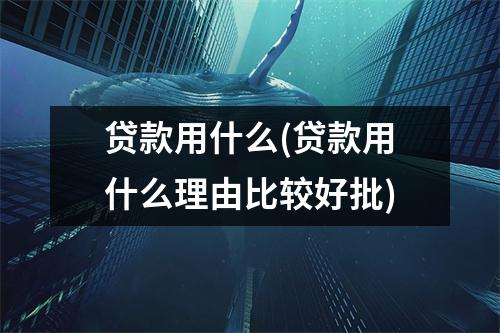 贷款用什么(贷款用什么理由比较好批)