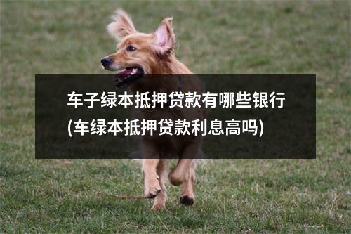 车子绿本抵押贷款有哪些银行(车绿本抵押贷款利息高吗)