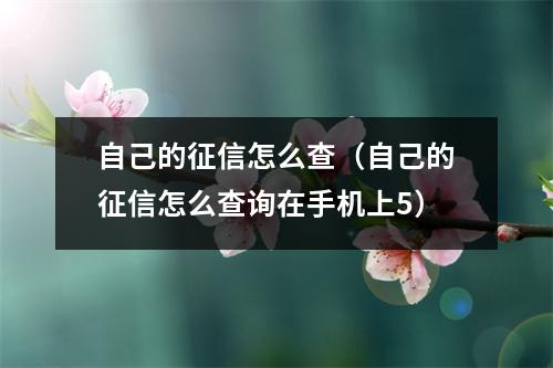 自己的征信怎么查（自己的征信怎么查询在手机上5）