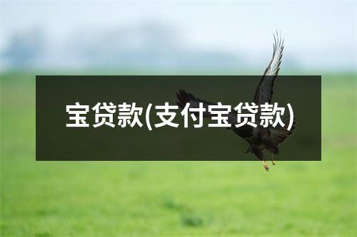 宝贷款(支付宝贷款)