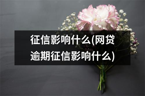 征信影响什么(网贷逾期征信影响什么)