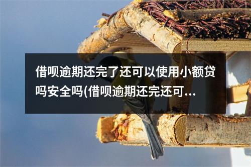 借呗逾期还完了还可以使用小额贷吗安全吗(借呗逾期还完还可以借吗)