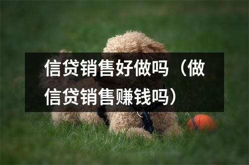 信贷销售好做吗（做信贷销售赚钱吗）