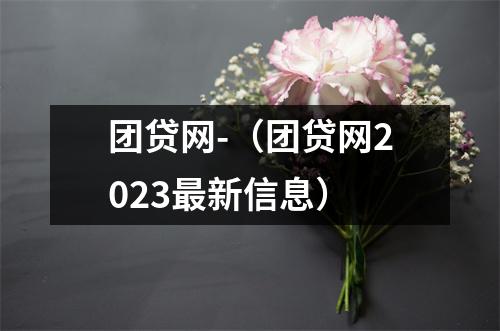 团贷网-（团贷网2023最新信息）