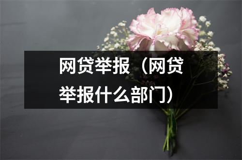 网贷举报（网贷举报什么部门）