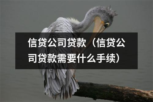 信贷公司贷款（信贷公司贷款需要什么手续）