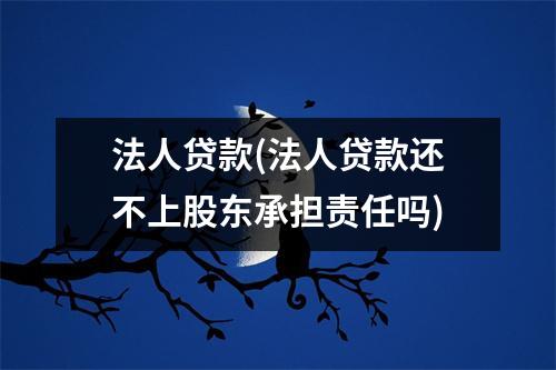 法人贷款(法人贷款还不上股东承担责任吗)