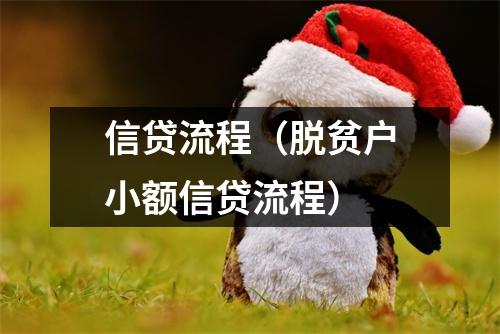信贷流程(脱贫户小额信贷流程)