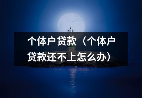 个体户贷款（个体户贷款还不上怎么办）