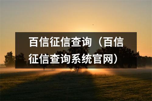 百信征信查询（百信征信查询系统官网）