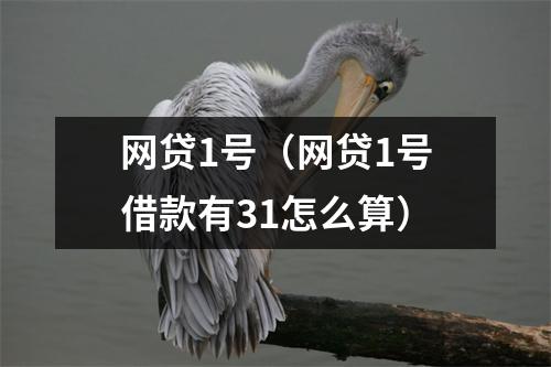 网贷1号（网贷1号借款有31怎么算）