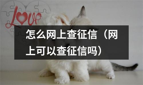 怎么网上查征信（网上可以查征信吗）