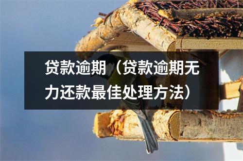 贷款逾期（贷款逾期无力还款最佳处理方法）