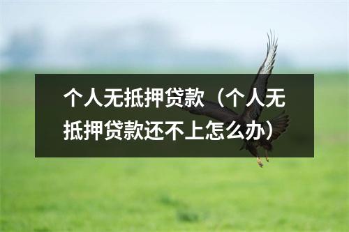 个人无抵押贷款（个人无抵押贷款还不上怎么办）