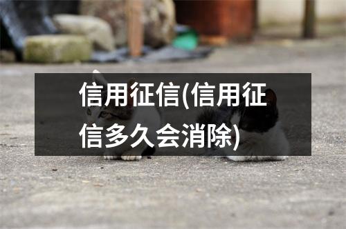 信用征信(信用征信多久会消除)