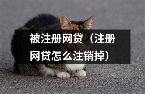 被注册网贷（注册网贷怎么注销掉）