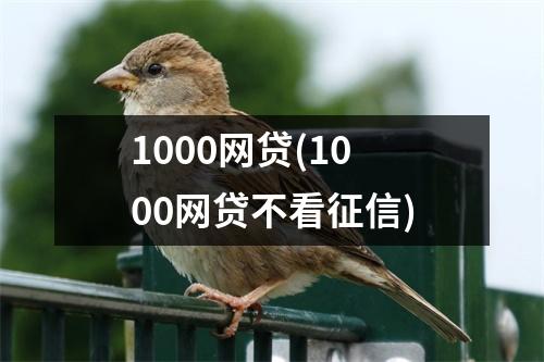 1000网贷(1000网贷不看征信)