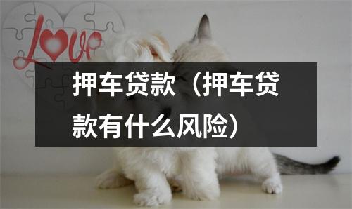 押车贷款(押车贷款有什么风险)