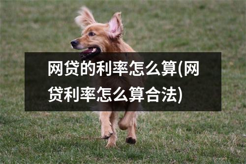 网贷的利率怎么算(网贷利率怎么算合法)