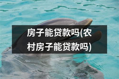 房子能贷款吗(农村房子能贷款吗)