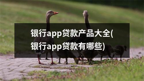 银行app贷款产品大全(银行app贷款有哪些)