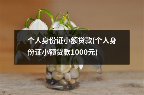个人身份证小额贷款(个人身份证小额贷款1000元)
