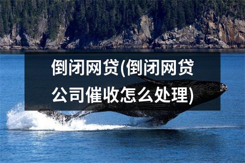 倒闭网贷(倒闭网贷公司催收怎么处理)